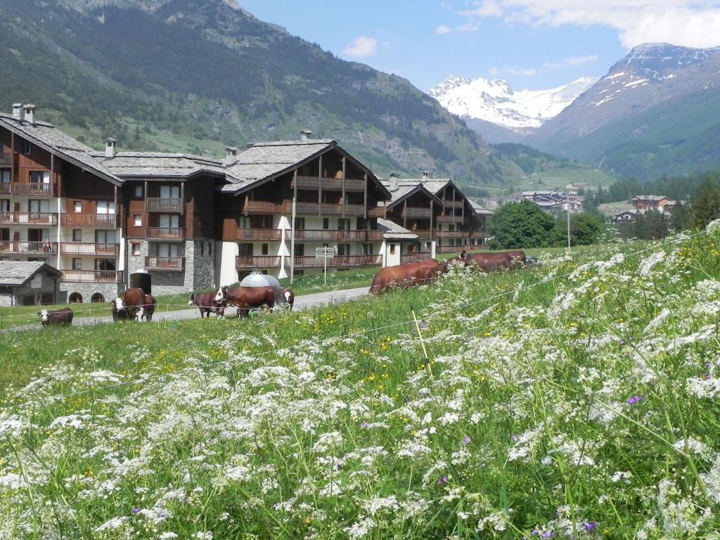 Lagrange Les Valmonts De Val Cenis Village de vacances